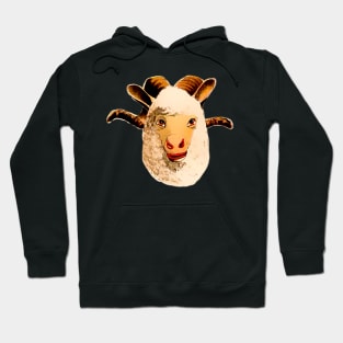 sheep mask Hoodie